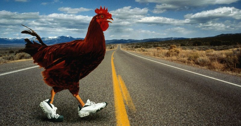 Juego chicken road - Descubre el Exclusivo y Emocionante Juego de Azar de Chicken Road en España Juego chicken road - Descubre el Exclusivo y Emocionante Juego de Azar de Chicken Road en España